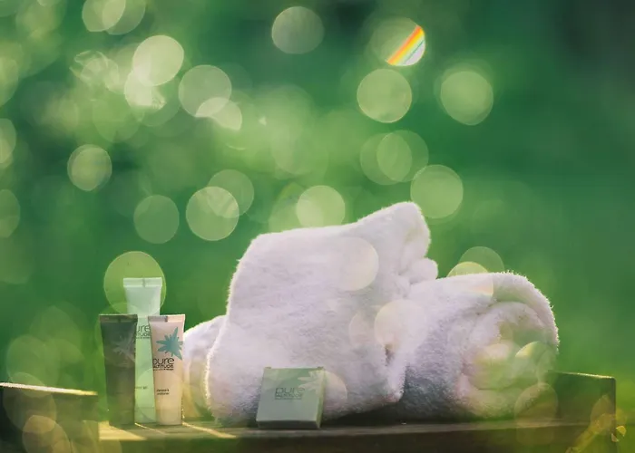 Renove, Skis Aux Pieds, 6 Pers, 1650 - Balcon Sud, Cosy Et Familial - Fr-1-631-151 * Courchevel